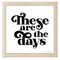 12" x 12" These Are the Days Framed Wall Art, Contemporary Home Décor, Glass Facing and Hanging Hardware Included
